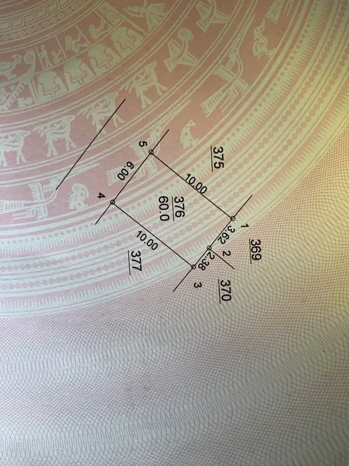 Đất nền Cổ Đông Sơn Tây 60m² giá thỏa thuận - Nằm ngay trường tiểu học và sân bóng!