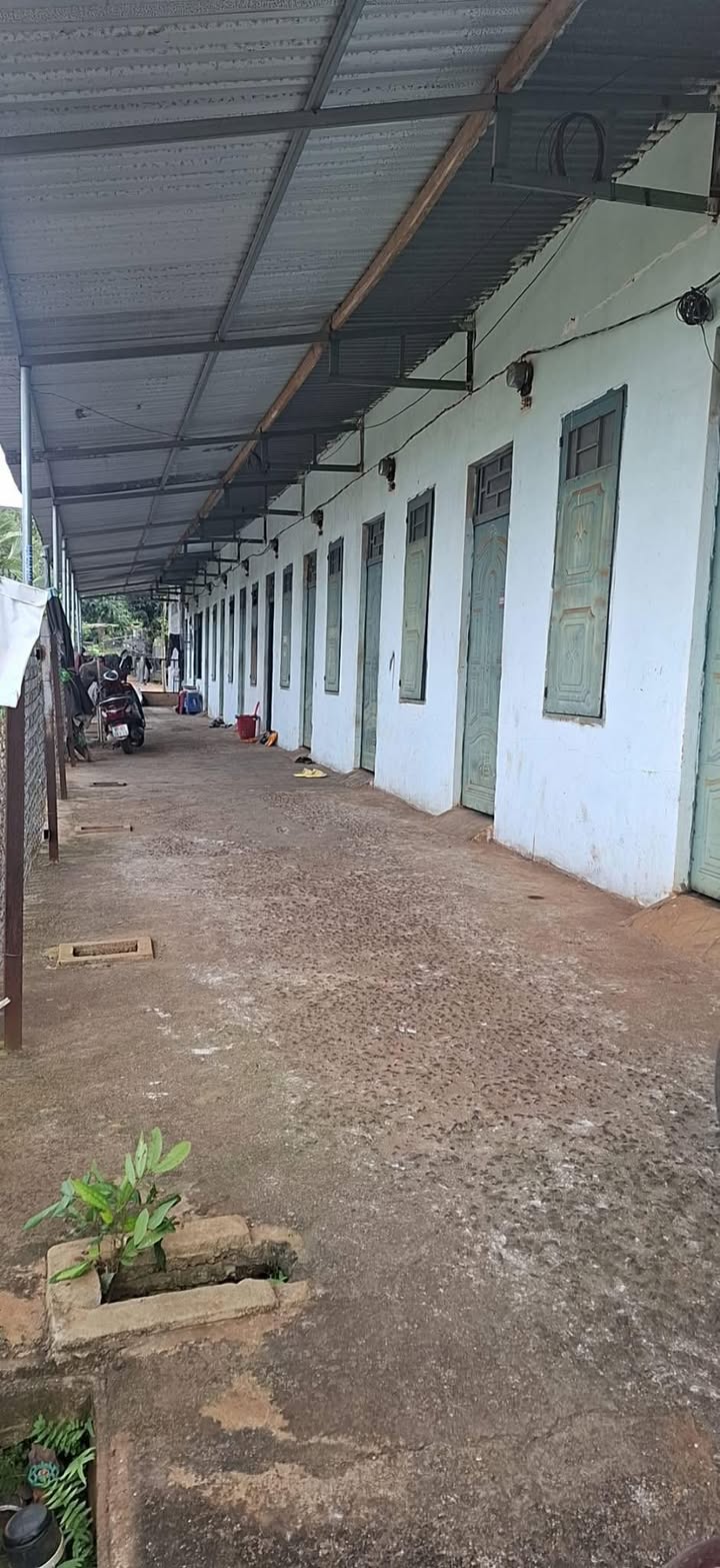 Nhà trọ 11 phòng Đắk Mil 120m² giá 5 tỷ - Đầu tư sinh lời ngay!