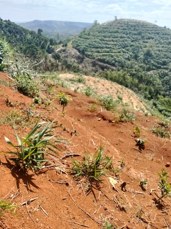 Đất nền 3.5ha Đắk Hà, Đắk Glong chỉ 1 tỷ - Cơ hội đầu tư tuyệt vời!