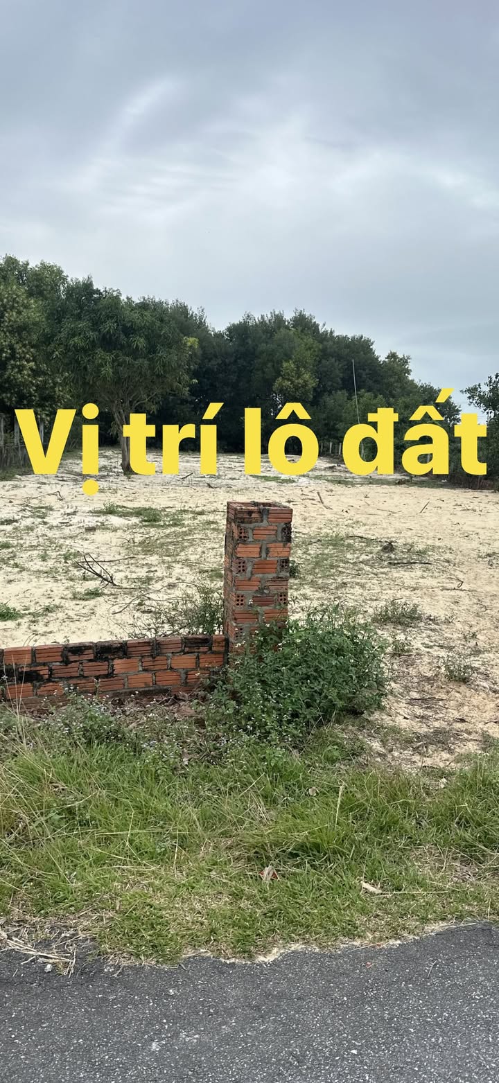 Đất nền Khu du lịch Cửa Khe, Thăng Bình, Quảng Nam 1000m² - Cơ hội đầu tư hấp dẫn!