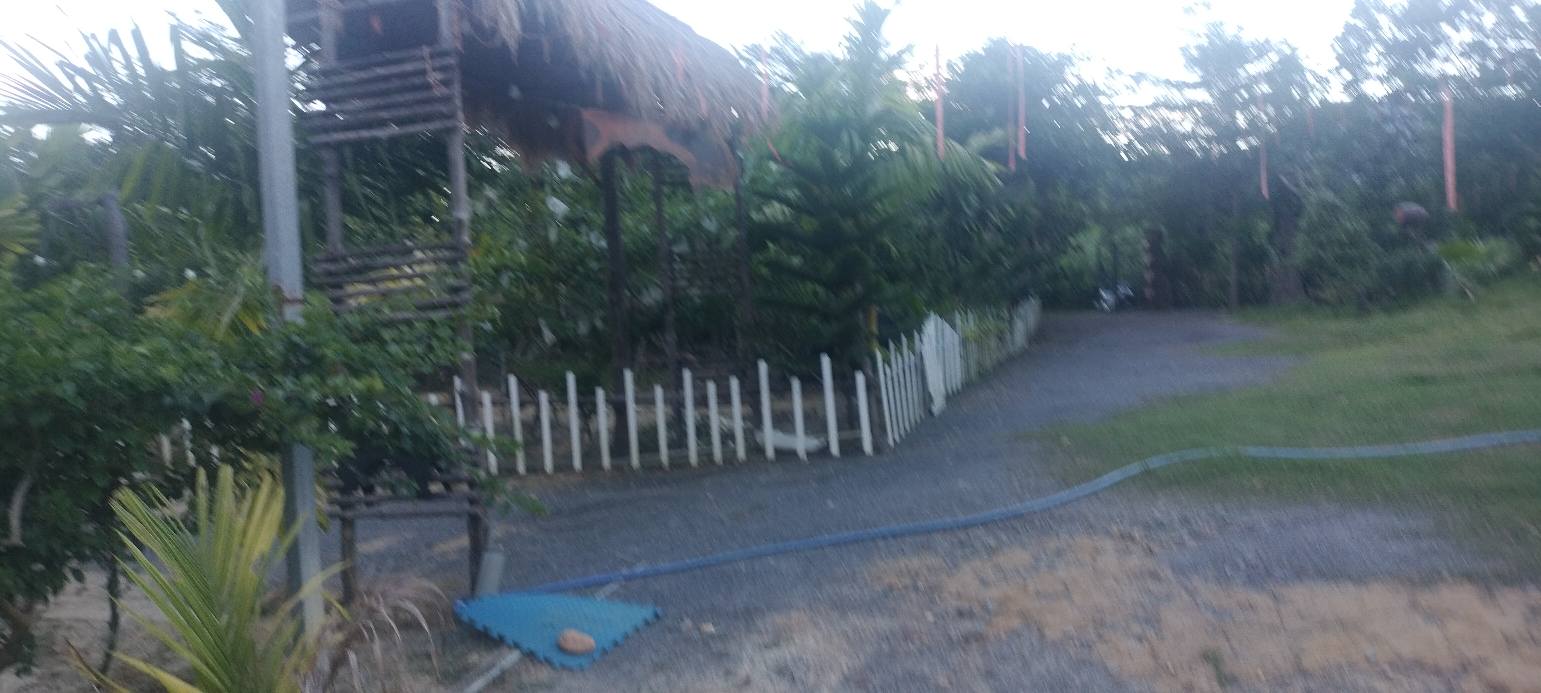 Lô đất homestay 9000m² tại Bà Nà - Tận hưởng không khí trong lành và tiềm năng đầu tư!