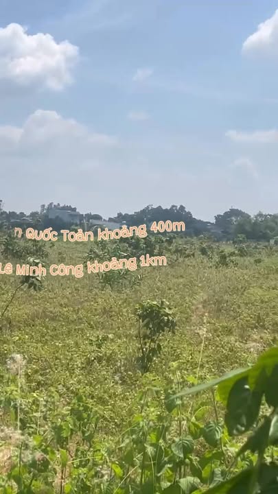 Đất nền Tân Phước, La Gi 620m² giá 6.5 tỷ - Đầu tư lâu dài, tiện ích đầy đủ!