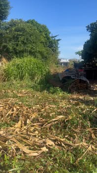 Đất nền Hòa Hội, Xuyên Mộc 341.68m² giá 870 triệu - Đầu tư sinh lời ngay!