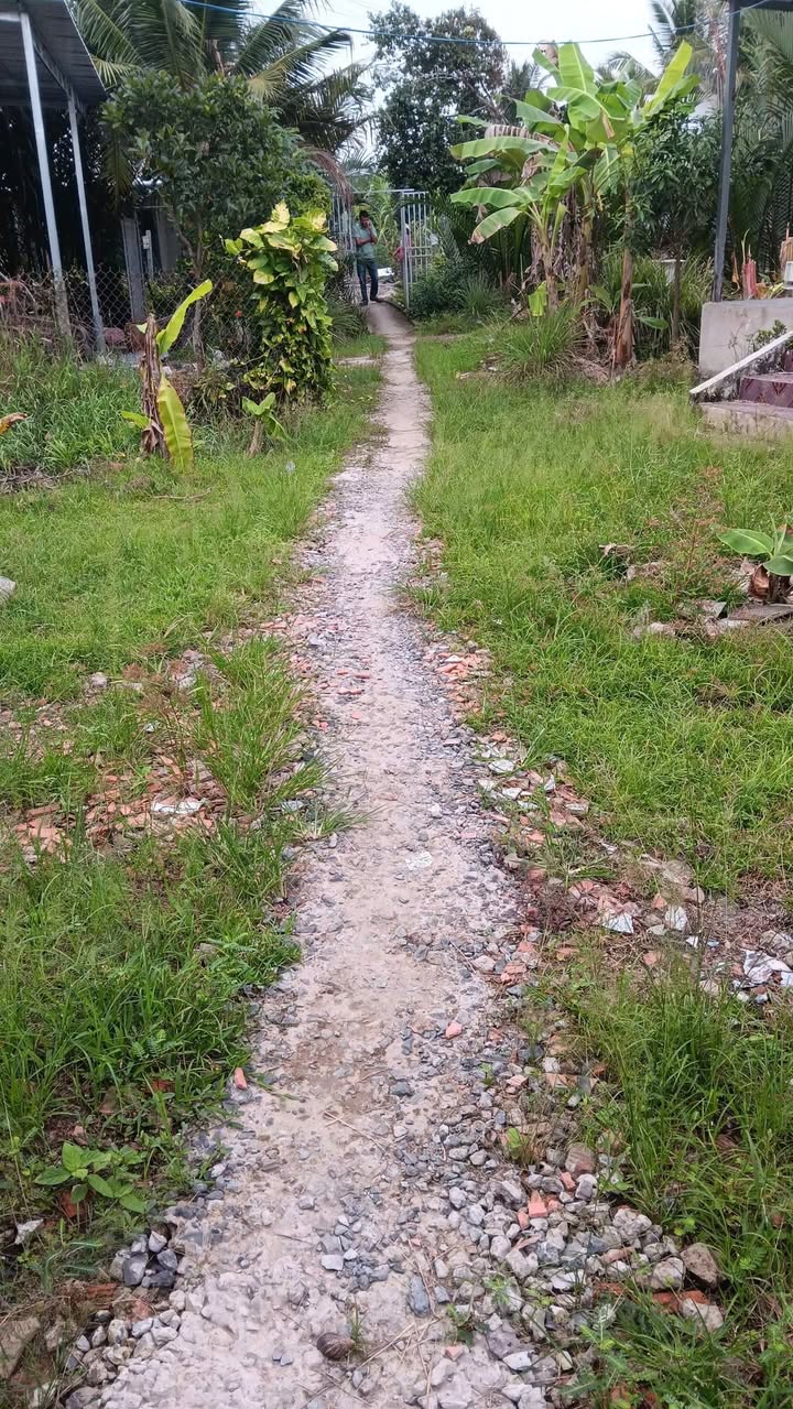 Đất chính chủ 1200m² tại Đông Thành, Bình Minh, Vĩnh Long - Giá chỉ 1 tỷ!