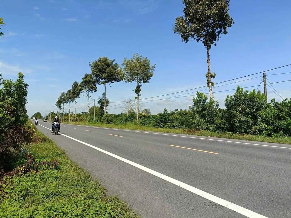 Đất nền Quốc lộ 61C, Châu Thành A, 2000m² - Đầu tư sinh lời ngay!