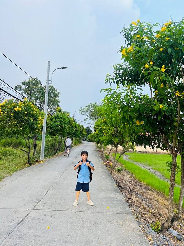 Đất nền Bình Chánh 110m² giá 2 tỷ - Nền góc, xây dựng tự do!