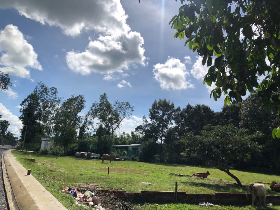 Đất mặt tiền đường Thạch Ngọc Biên, Trà Vinh 424m² giá 1.5 tỷ - Cơ hội đầu tư tuyệt vời!