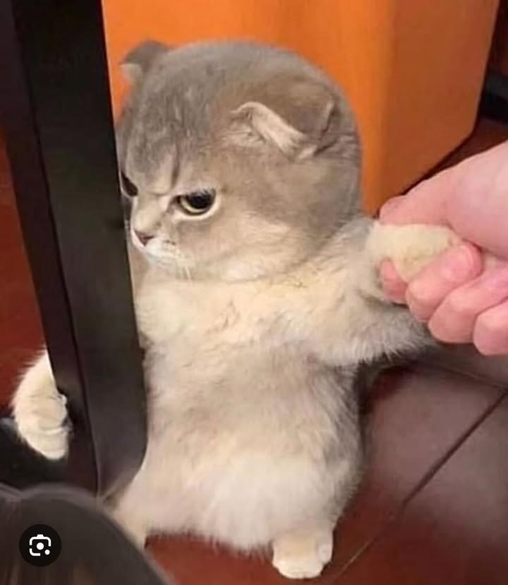 Nhà 3 tầng ngõ 82 Mê Linh, quận Lê Chân, Hải Phòng - Giá chỉ 1.1 tỷ!