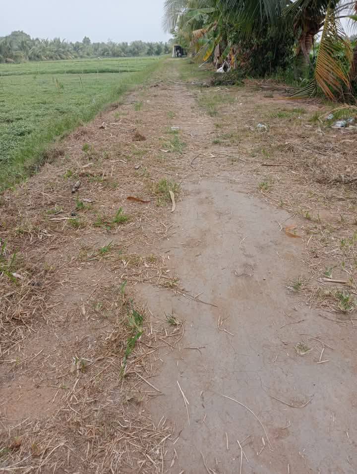 Đất nền đầu tư xã Long Hưng 1000m² giá chỉ 600 triệu - Cơ hội vàng cho nhà đầu tư!