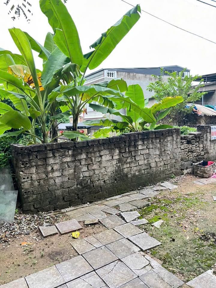 Lô đất 274m² mặt tiền 23m tại phường Hàm Rồng - Cơ hội đầu tư không thể bỏ lỡ!