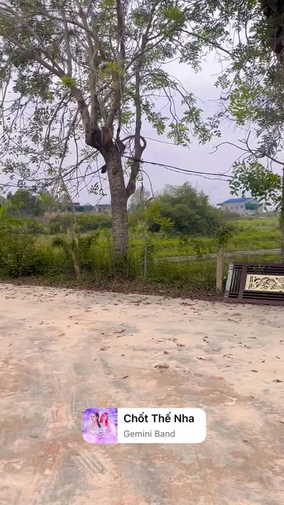 Đất nền Xóm 2 Minh Thành 200m² giá chỉ 300 triệu - Sổ đỏ chính chủ!