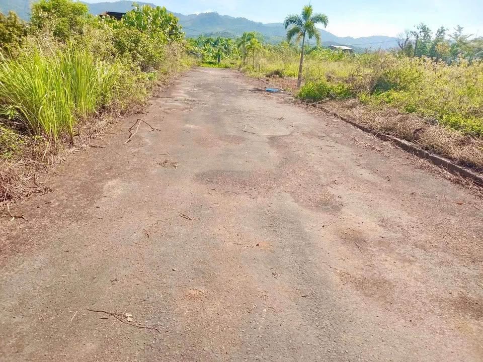 Đất thổ cư Bảo Lộc 1621m² giá 1.6 tỷ - Pháp lý rõ ràng