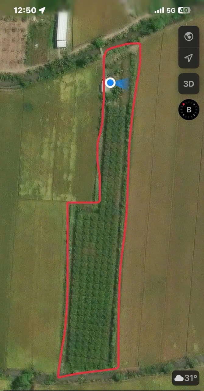 Đất Mặt Tiền Đường Đất Lấp Vò 4500m² giá 2.450 tỷ - Đầu tư sinh lời ngay!