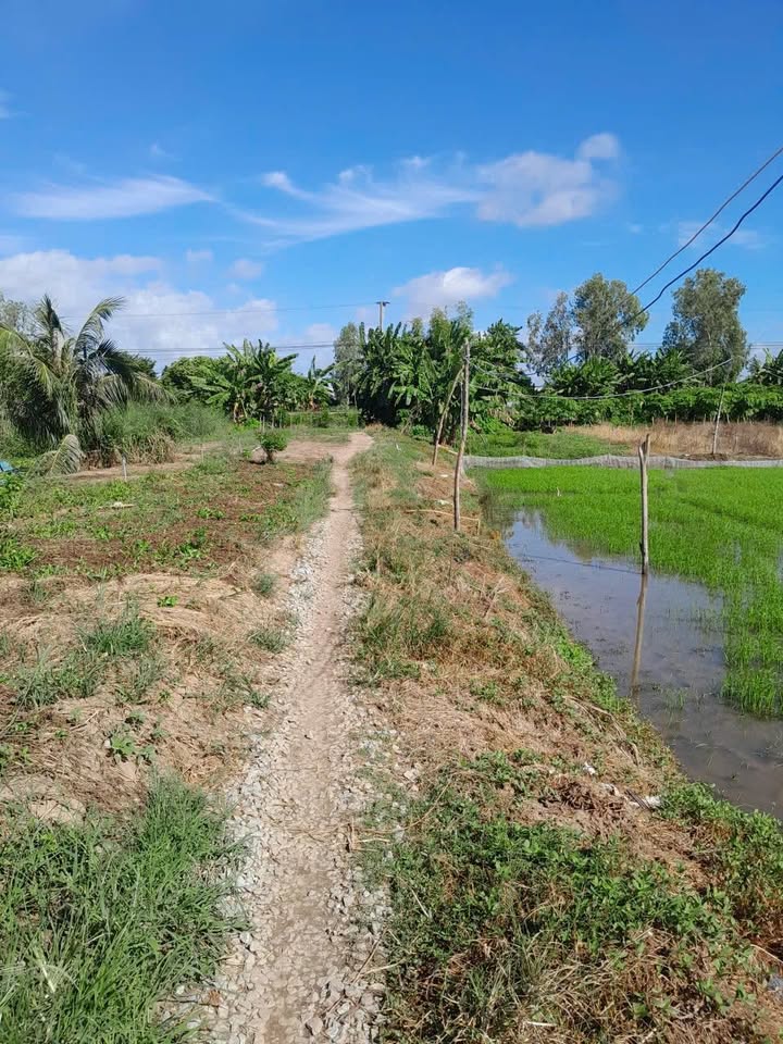 Đất nền 2 công tại xã Cần Đăng, Châu Thành, An Giang - Giá chỉ 230 triệu/1000m²!