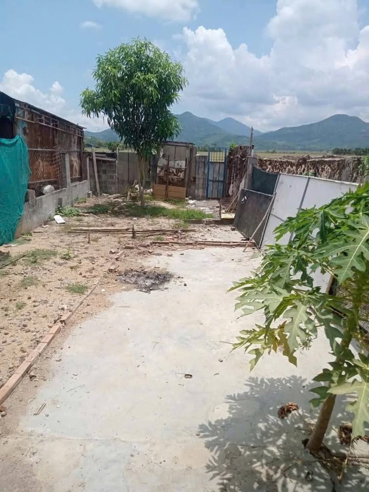 Đất nền Diên Sơn 131m² giá chỉ 970 triệu - Đường ô tô thông thoáng!