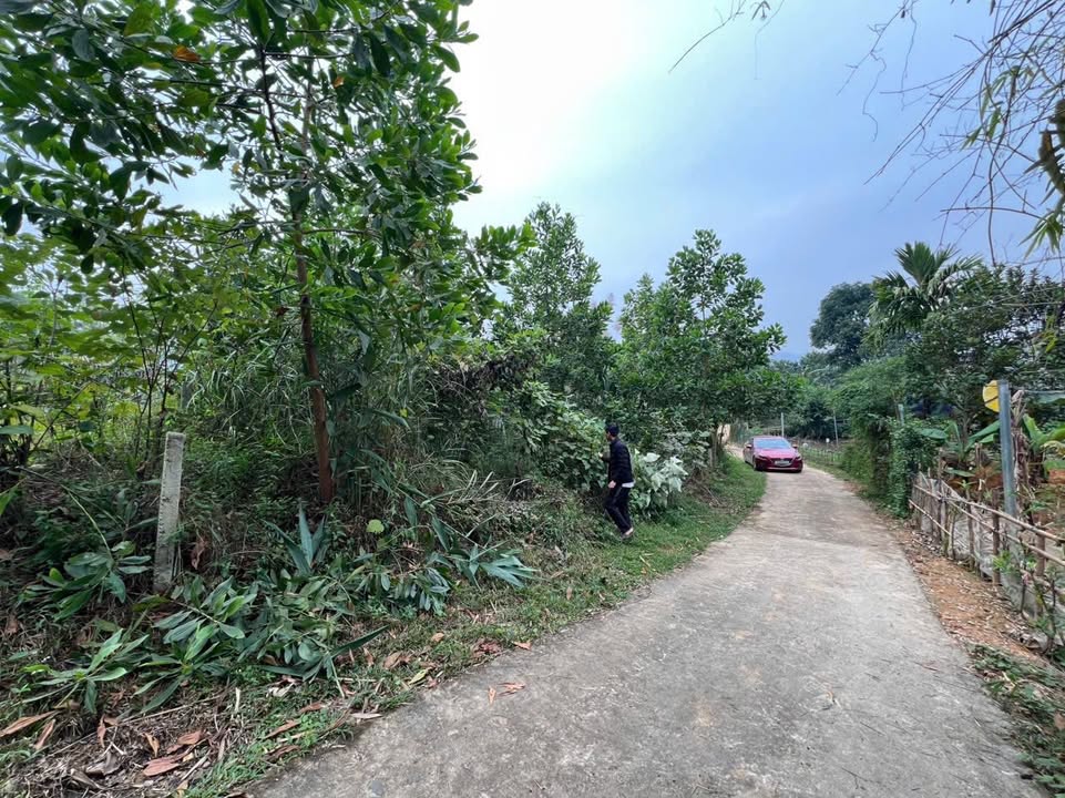 Đất nền Thanh Sơn Phú Thọ 320m² chỉ 500 triệu - Cơ hội đầu tư sinh lời!