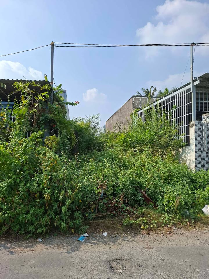 Đất nền mặt tiền đường Đỗ Tường Tự, TP Tân An 125m² giá 1.55 tỷ - Đầu tư sinh lời ngay!