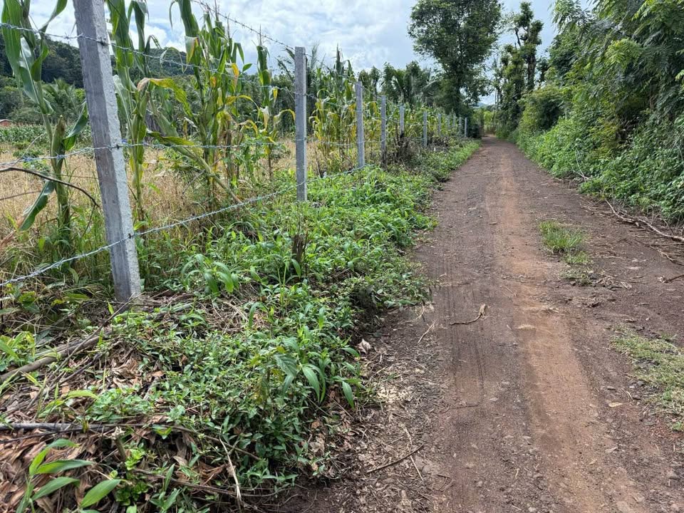 Đất sào đẹp tại phường Ea Kao, Buôn Ma Thuột - Giá chỉ 1.19 tỷ