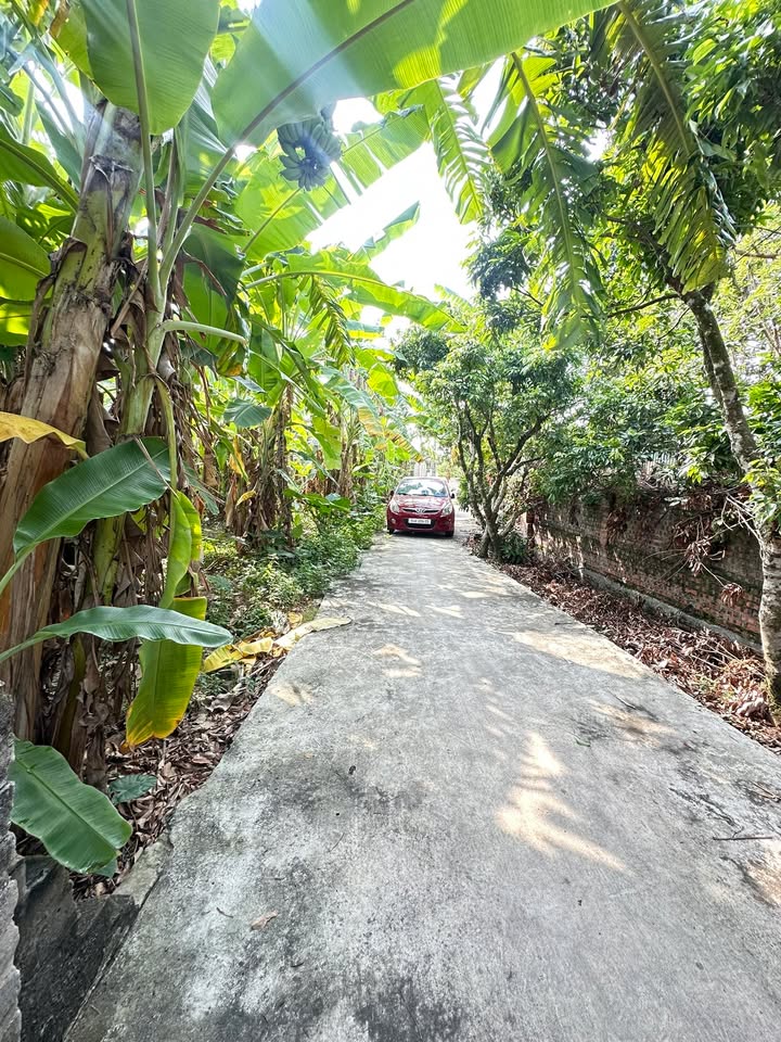 Đất nền Thanh Khê, Thanh Hà 256m² - Tiềm năng sinh lời vượt trội!