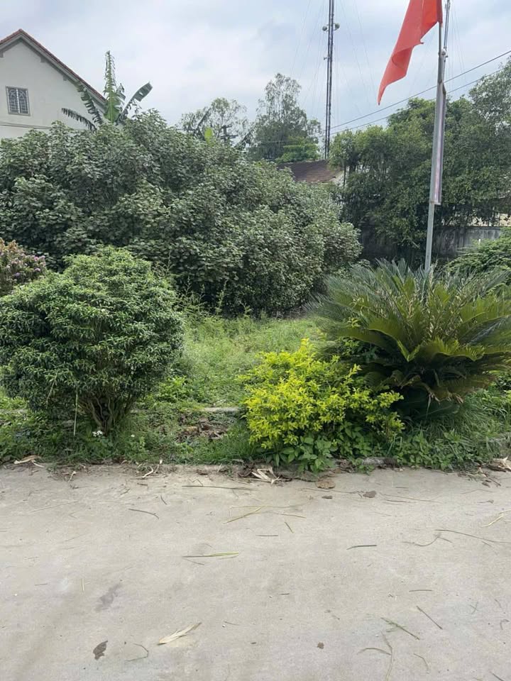 Đất nền 2 mặt tiền xã Tùng Châu, Đức Thọ 225m² - Cơ hội đầu tư hấp dẫn!