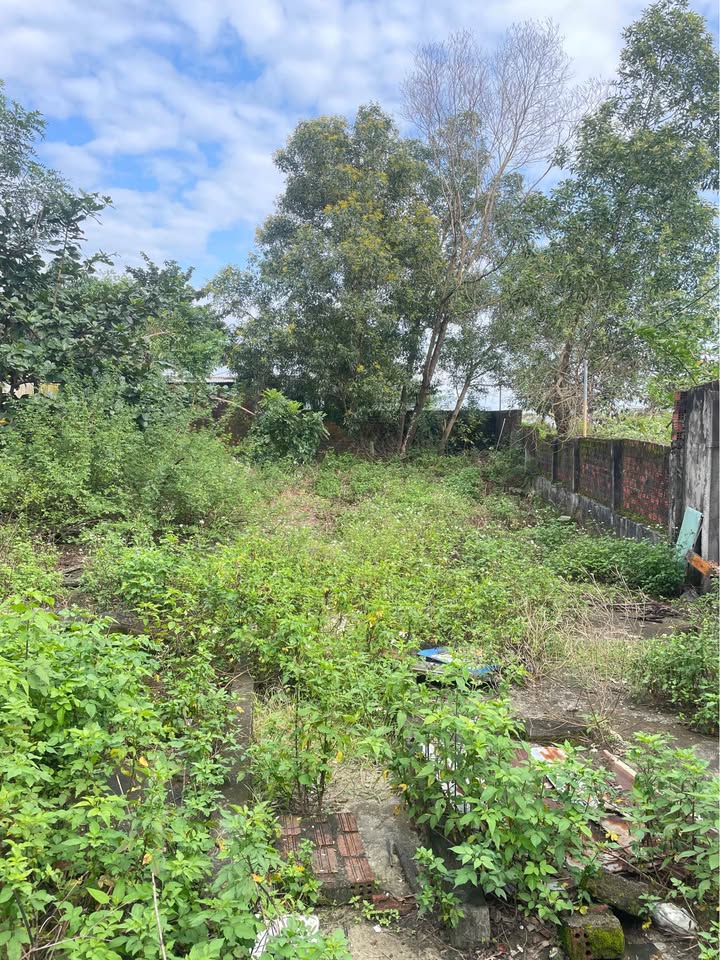 Đất đầu tư Hòa Hiệp Bắc 174m² giá 2 tỷ - Cơ hội sinh lời hấp dẫn!