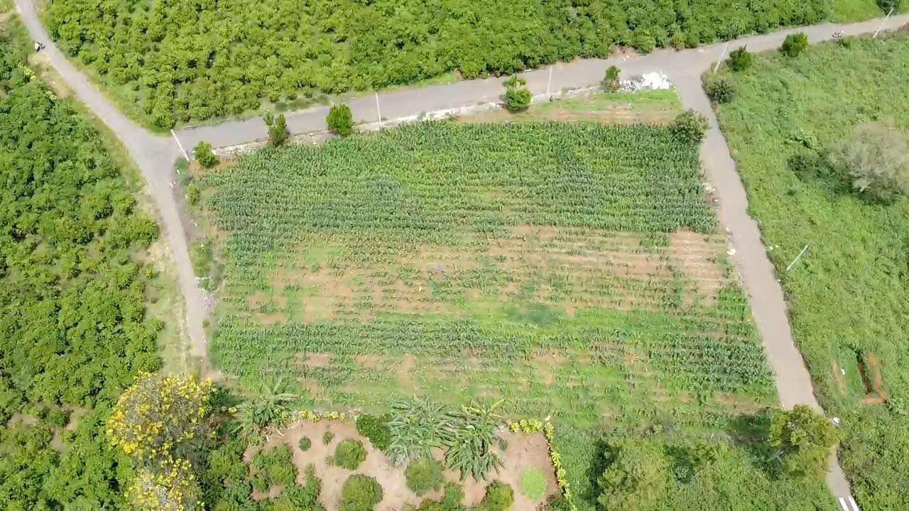 Đất nền Tứ Quý Lộc An - Bảo Lâm 500m² giá 1.2 tỷ - Đầu tư sinh lời ngay!