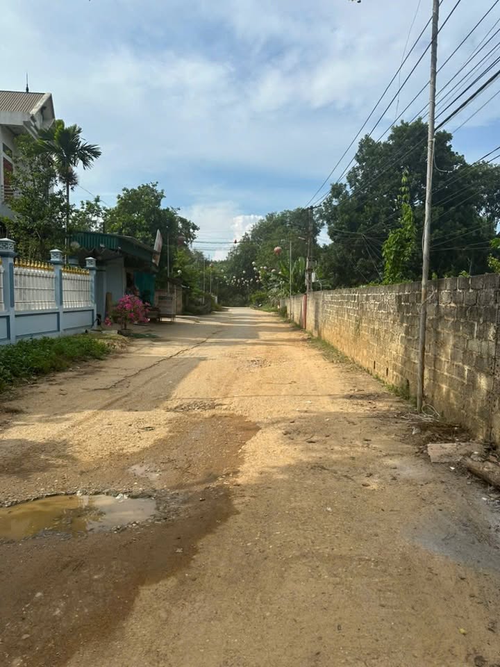 Đất nền Phong Châu, Phú Thọ 300m² giá 1.1 tỷ - Đầu tư sinh lời hấp dẫn!