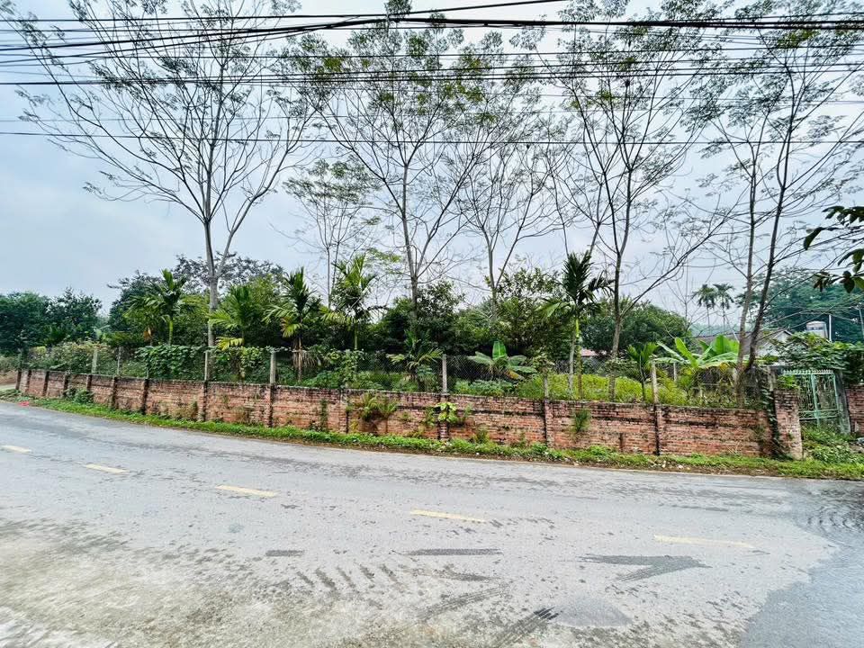 Đất thổ cư tại Đồng Xuân - Thanh Ba, Phú Thọ 100m² giá chỉ từ 600 triệu - Cơ hội đầu tư hấp dẫn!