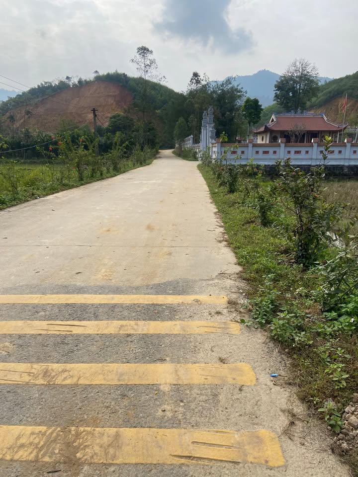 Đất vườn 1ha tại Vô Tranh, Hạ Hòa, Phú Thọ - Giá chỉ 2 tỷ