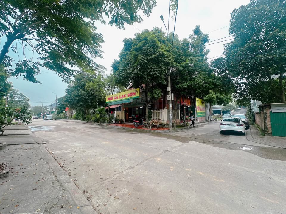 Bán đất đường Nguyễn Du kéo dài 100m² giá 5.5 tỷ - Khu vực kinh doanh sầm uất!