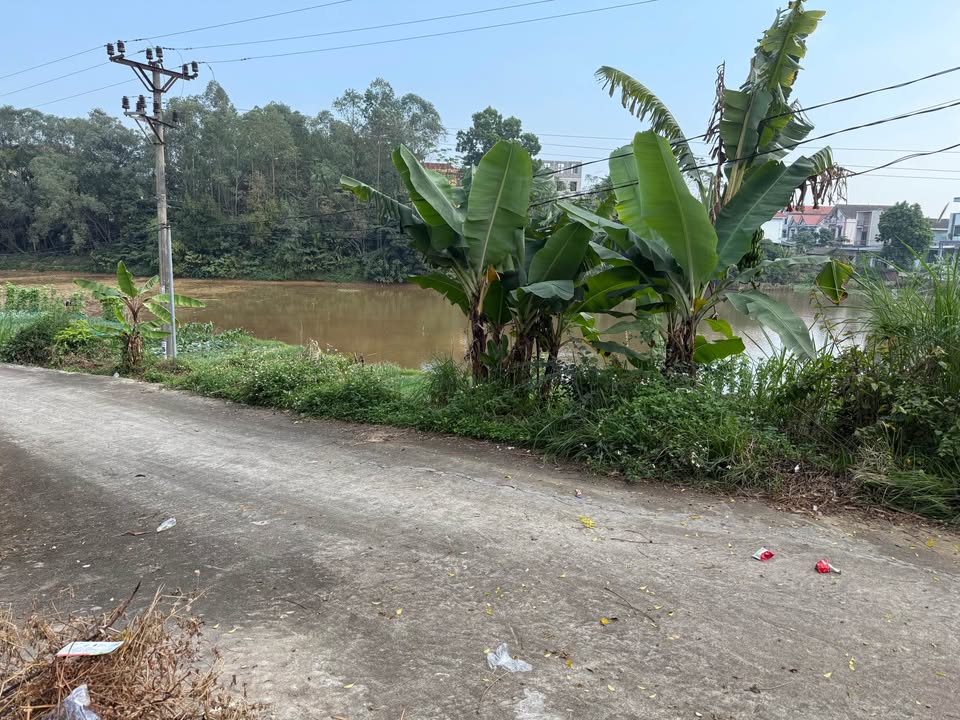 Đất thổ cư 198m² tại Thanh Đình, Việt Trì - Giá chỉ 1.72 tỷ, mặt tiền rộng!