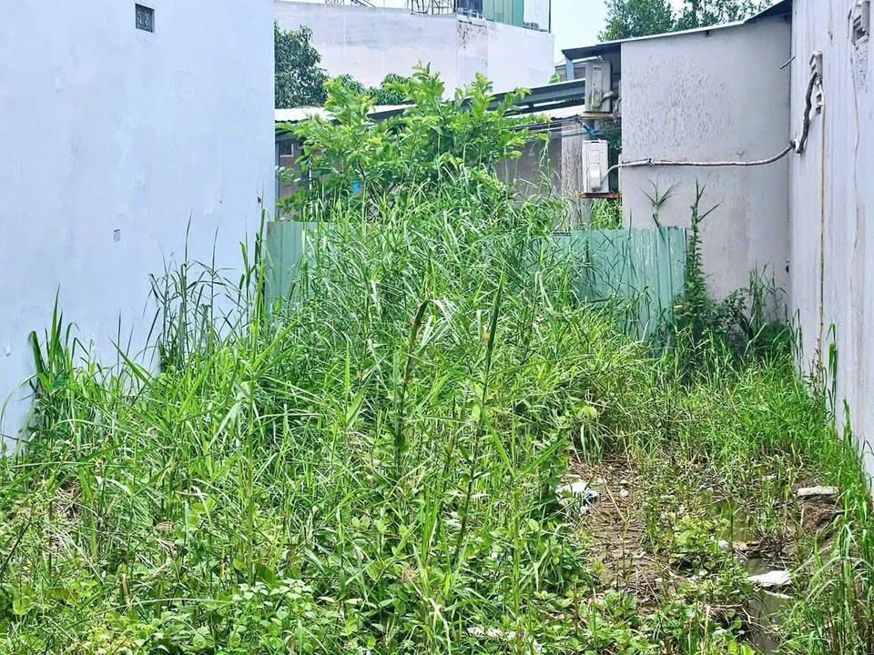 Đất nền mặt tiền đường Trần Nam Phú, Cần Thơ 81.5m² giá 4.2 tỷ - Tiềm năng sinh lời cao!