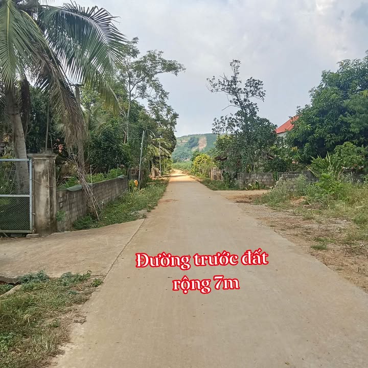 Đất nền Thạch Sơn - Thạch Thành 137m² giá tốt chỉ từ 1xx triệu - Đầu tư sinh lời ngay!