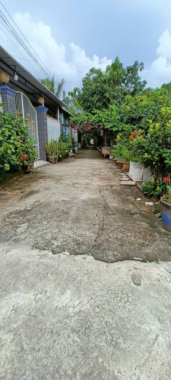 Nhà cấp 4 Phước Hậu, Vĩnh Long 482m² giá 3 tỷ - Hồ bơi và sân vườn rộng rãi!