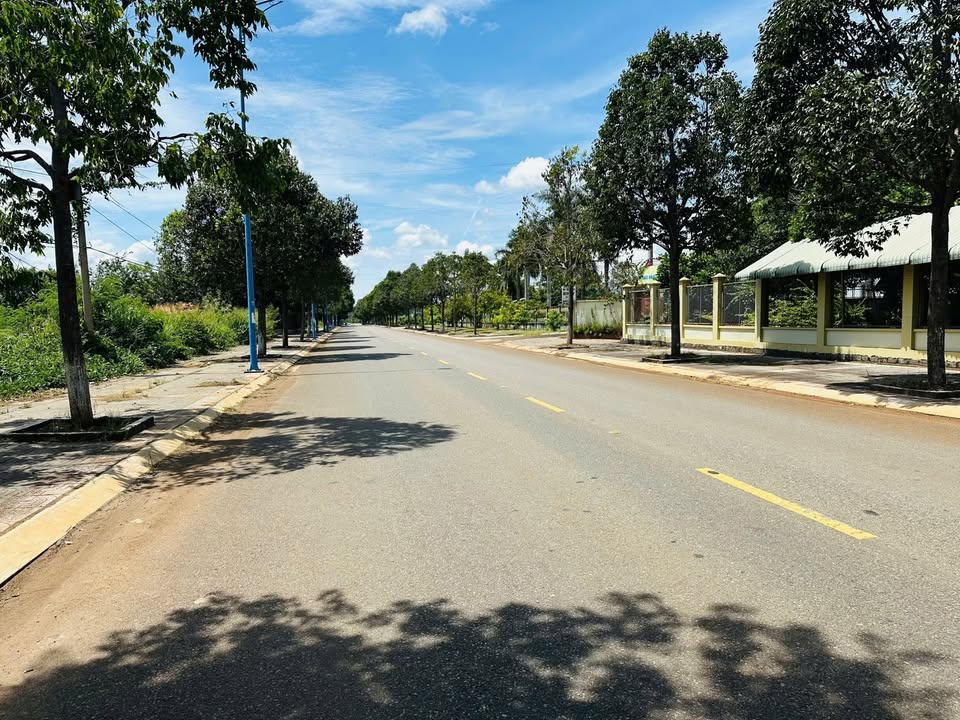 Đất thổ cư 100m² tại Tỉnh Lộ 52, Long Tân, Đất Đỏ - Giá chỉ 1.85 tỷ!