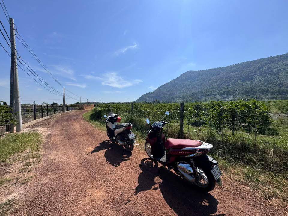 Đất thổ cư Phường Bình Minh, Tây Ninh 150m² chỉ 300 triệu - Đầu tư sinh lời ngay!