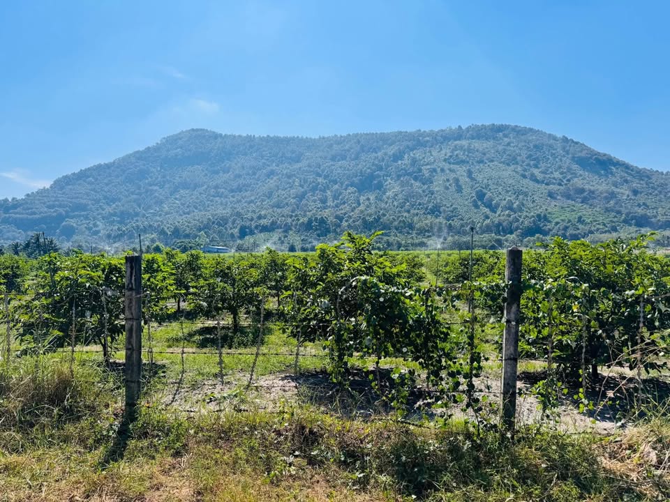 Đất nền Phường Bình Minh mới 150m² giá chỉ 300 triệu - Đầu tư sinh lời ngay!