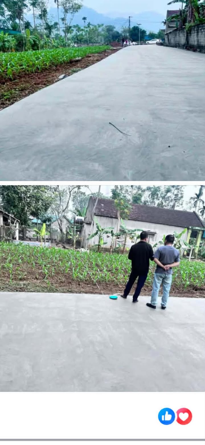 Đất Nghĩa Mỹ Thái Hòa 197m² chỉ 300 triệu - Cơ hội đầu tư tuyệt vời!