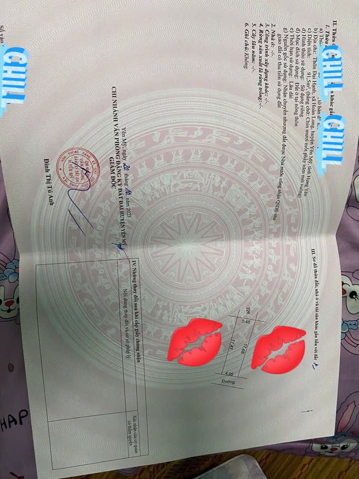 Đất thổ cư 91m² Hoàn Long, Yên Mỹ, Hưng Yên - Gần chợ và trường học!