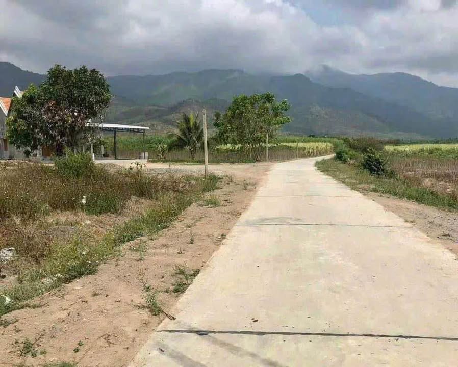 Đất Ninh Tây, Ninh Hòa 1500m² giá 619 triệu - Đầu tư sinh lời ngay!