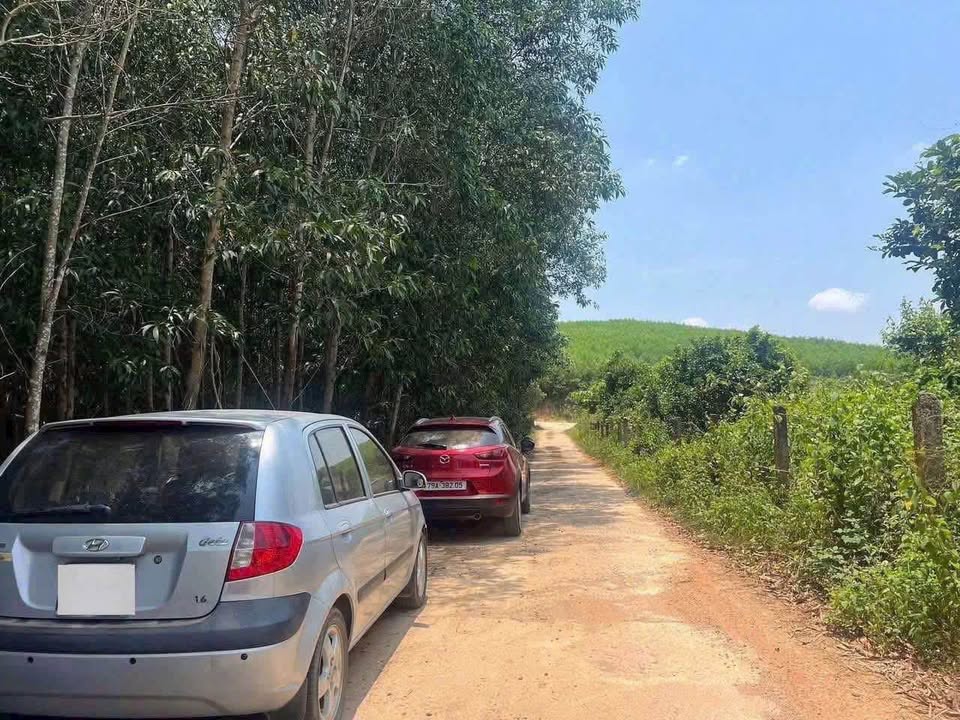 Đất vườn Khánh Nam, Khánh Vĩnh 1964m² giá 650 triệu - Sẵn sàng sở hữu ngay!