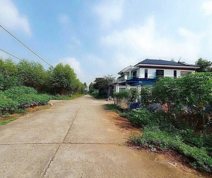 Đất nền khu 8 Đồi Cây Đa Châu Hóa 300m² - Đường rộng, pháp lý chuẩn