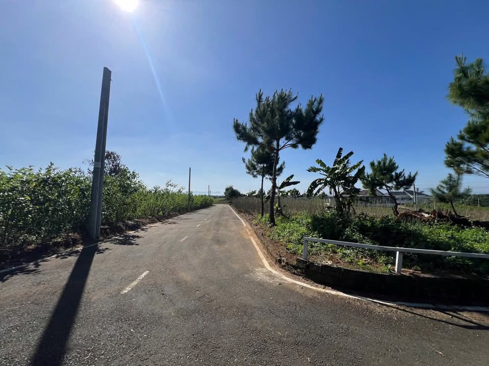 Đất nền Lộc An 270m² giá 1.05 tỷ - Lô góc 3 mặt tiền thuận tiện!