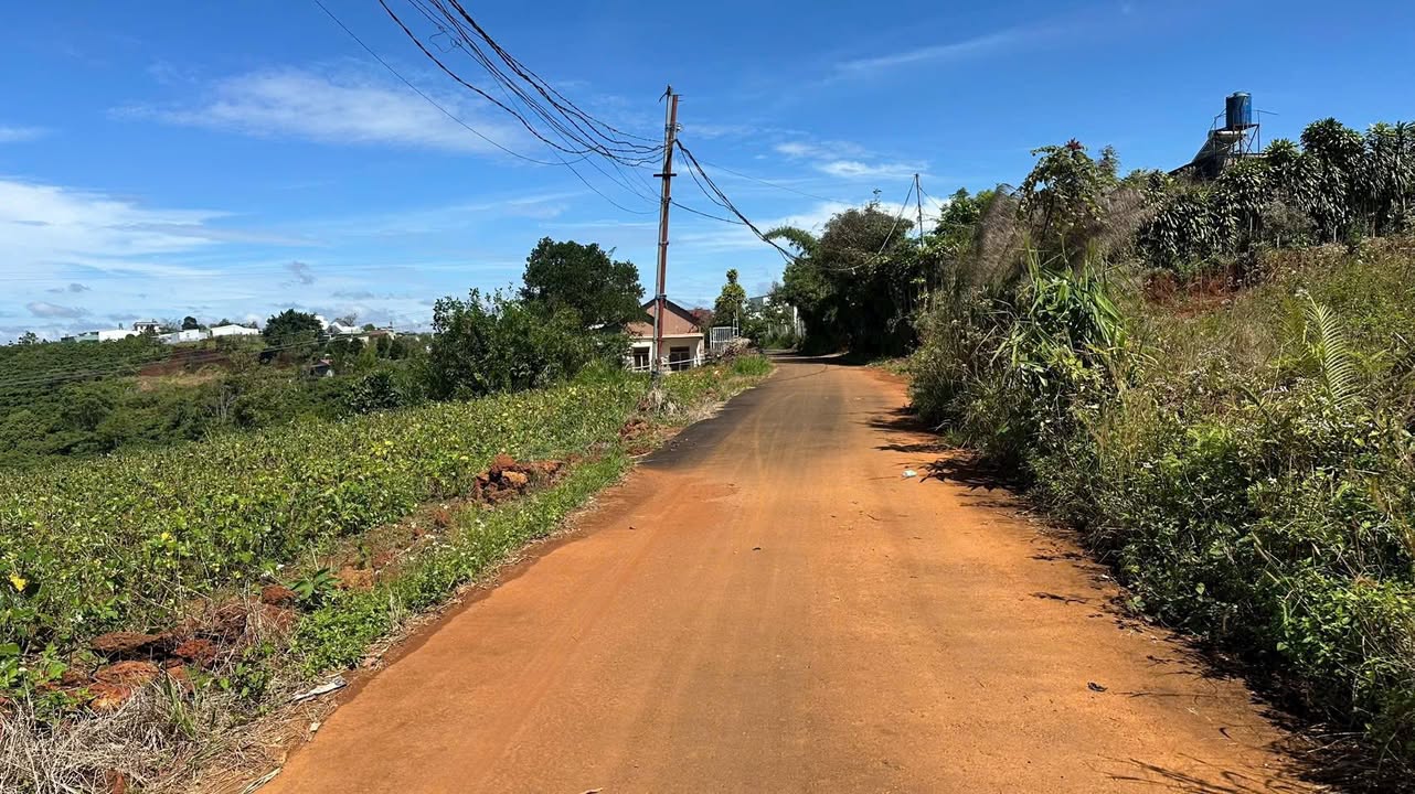 Đất nền 500m² Hẻm 45 Trần Nhật Duật, Bảo Lộc 2.5 tỷ - Cơ hội đầu tư hấp dẫn!