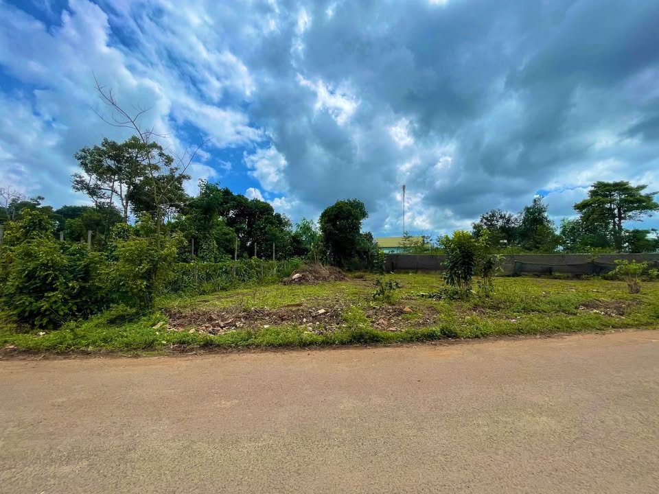 Đất mặt tiền Lý Chính Thắng, Hội Phú, Pleiku 298m² - Cơ hội đầu tư hấp dẫn!