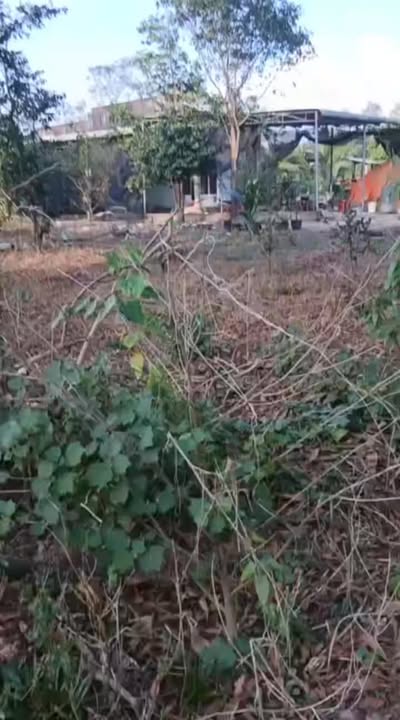 Đất nền 2000m² xã Suối Cao, Đồng Nai chỉ 500 triệu - Nhanh tay sở hữu!