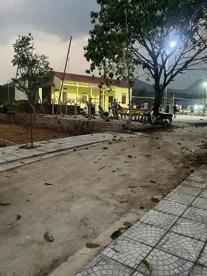 Đất nền Lý Nhân Vĩnh Tường 131m² giá 300 triệu - Sổ đỏ chính chủ, đầu tư sinh lời!