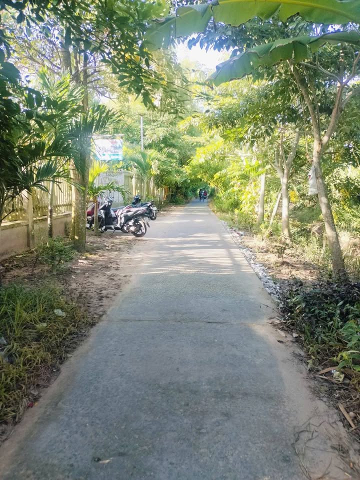 Đất nền 462m² mặt tiền đường ô tô ấp Giồng Chùa - Giá chỉ 800 triệu!