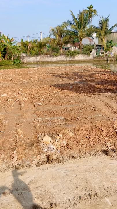 Đất nền Đồng Tiến, Đông Sơn 120m² giá 1.2 tỷ - Tiện ích đầy đủ, vị trí đắc địa!