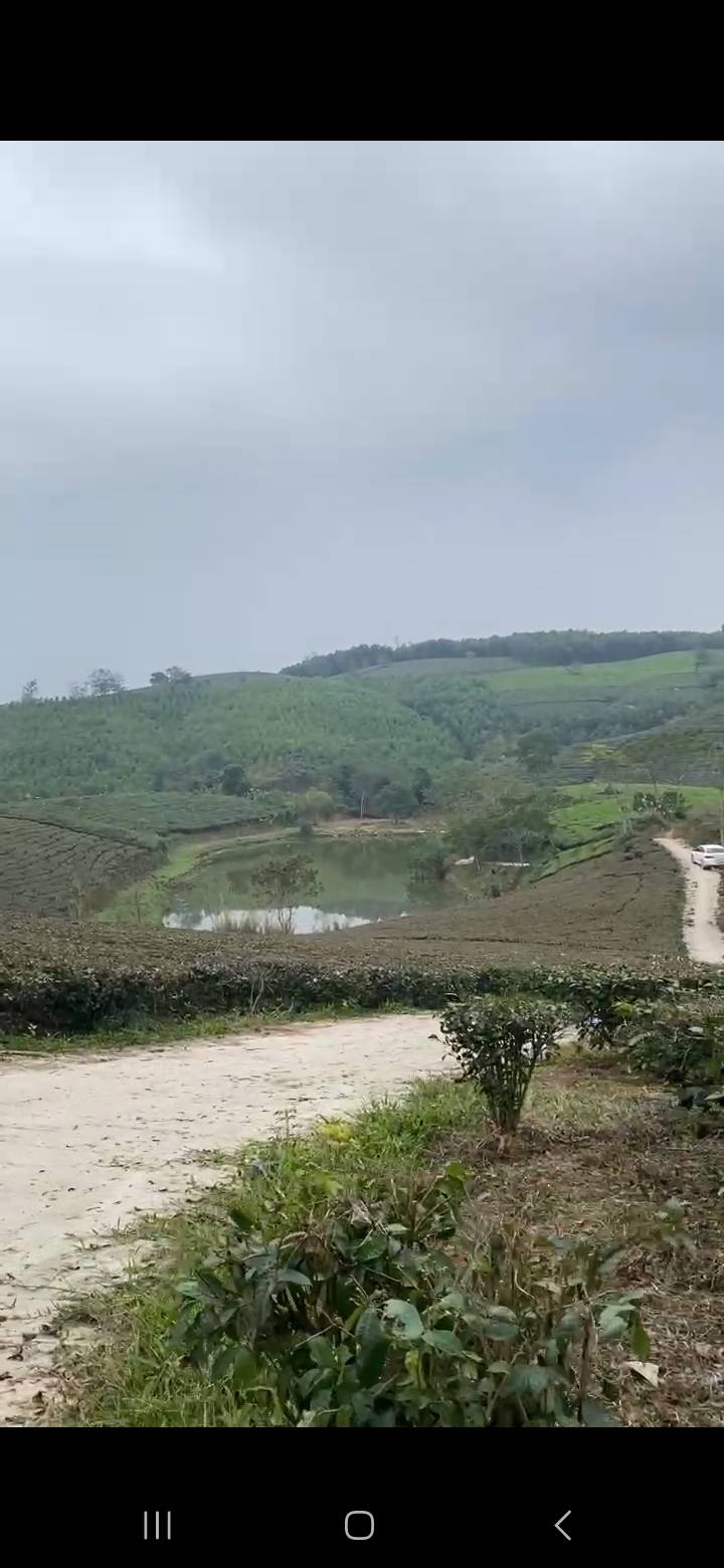 Đất nghỉ dưỡng Ngọc Đồng Yên Lập Phú Thọ 5478m² chỉ 1.1 tỷ - Cơ hội đầu tư tuyệt vời!